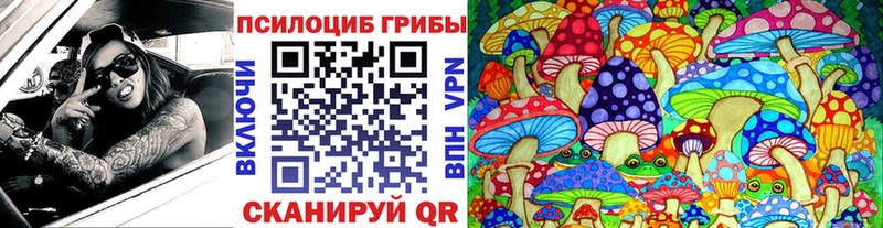 купить   Чита  Псилоцибиновые грибы мицелий 